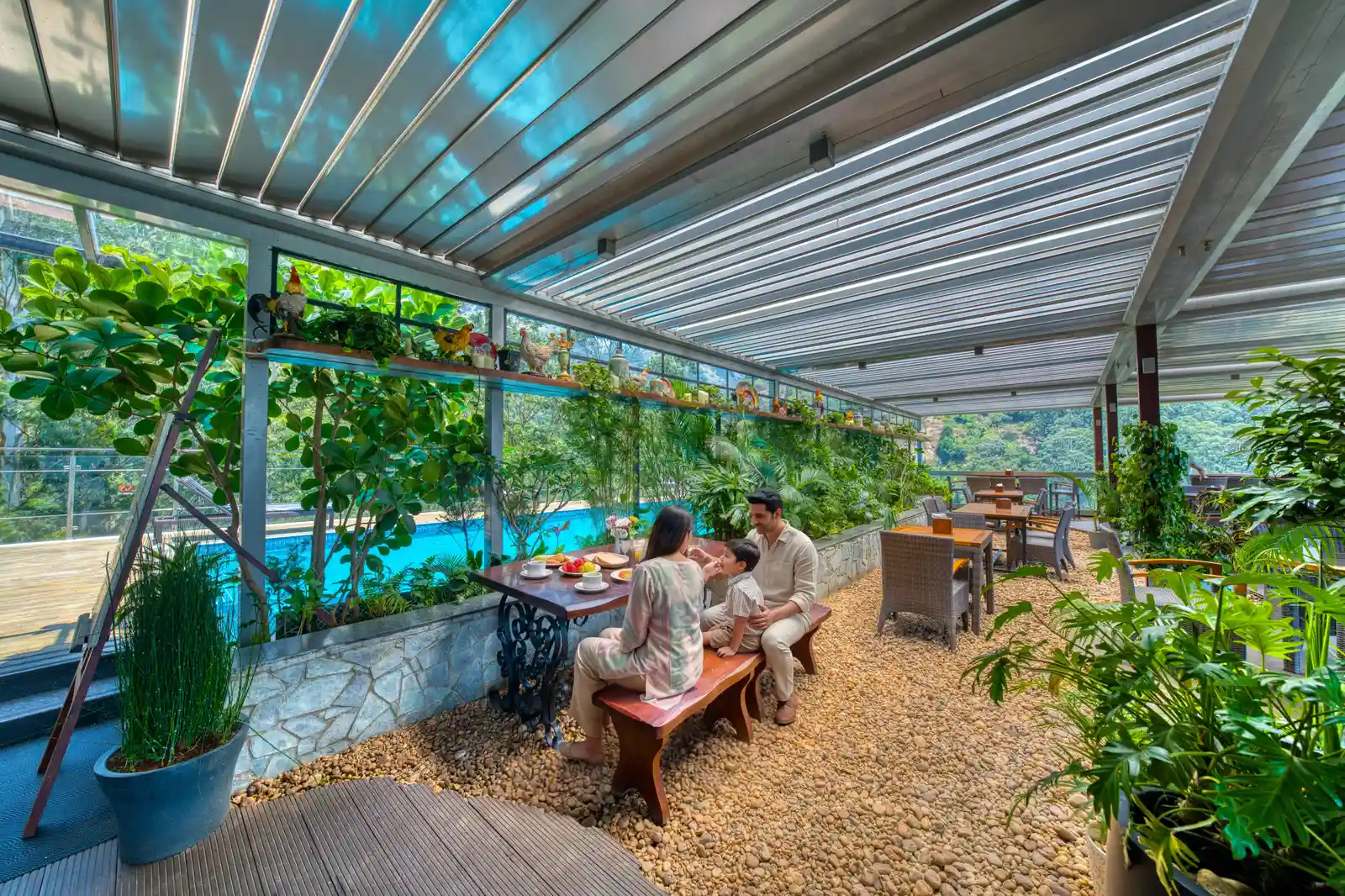 Top luxury 5-star resort dining experience in Munnar with gourmet cuisine and scenic views
