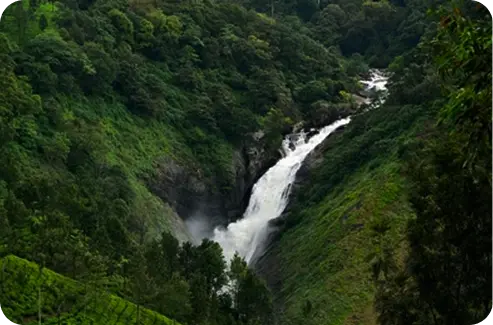 Attukad Waterfalls aerial view